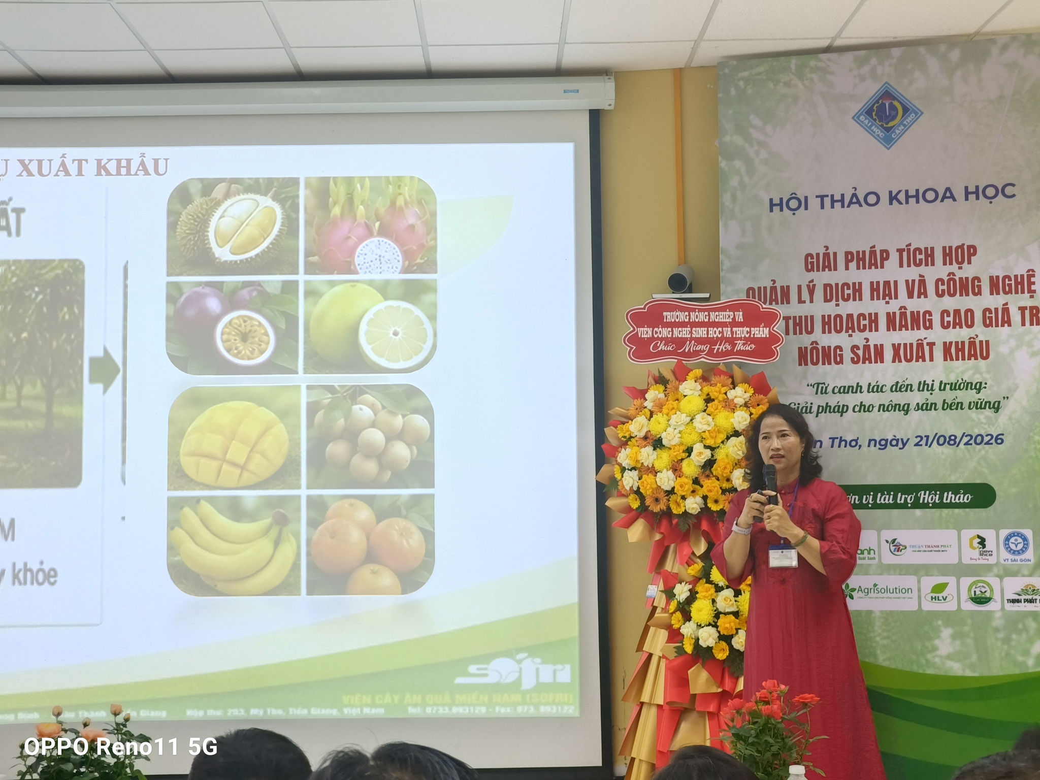 thối trái 7