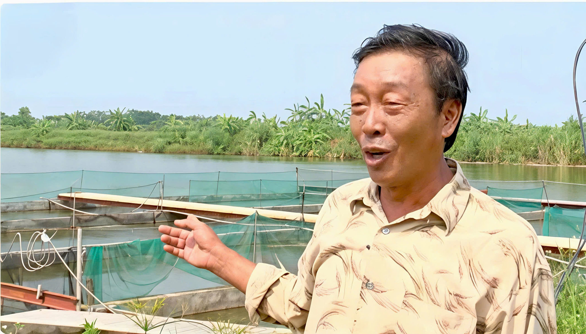 nuôi cá thông minh VietGAP (4)
