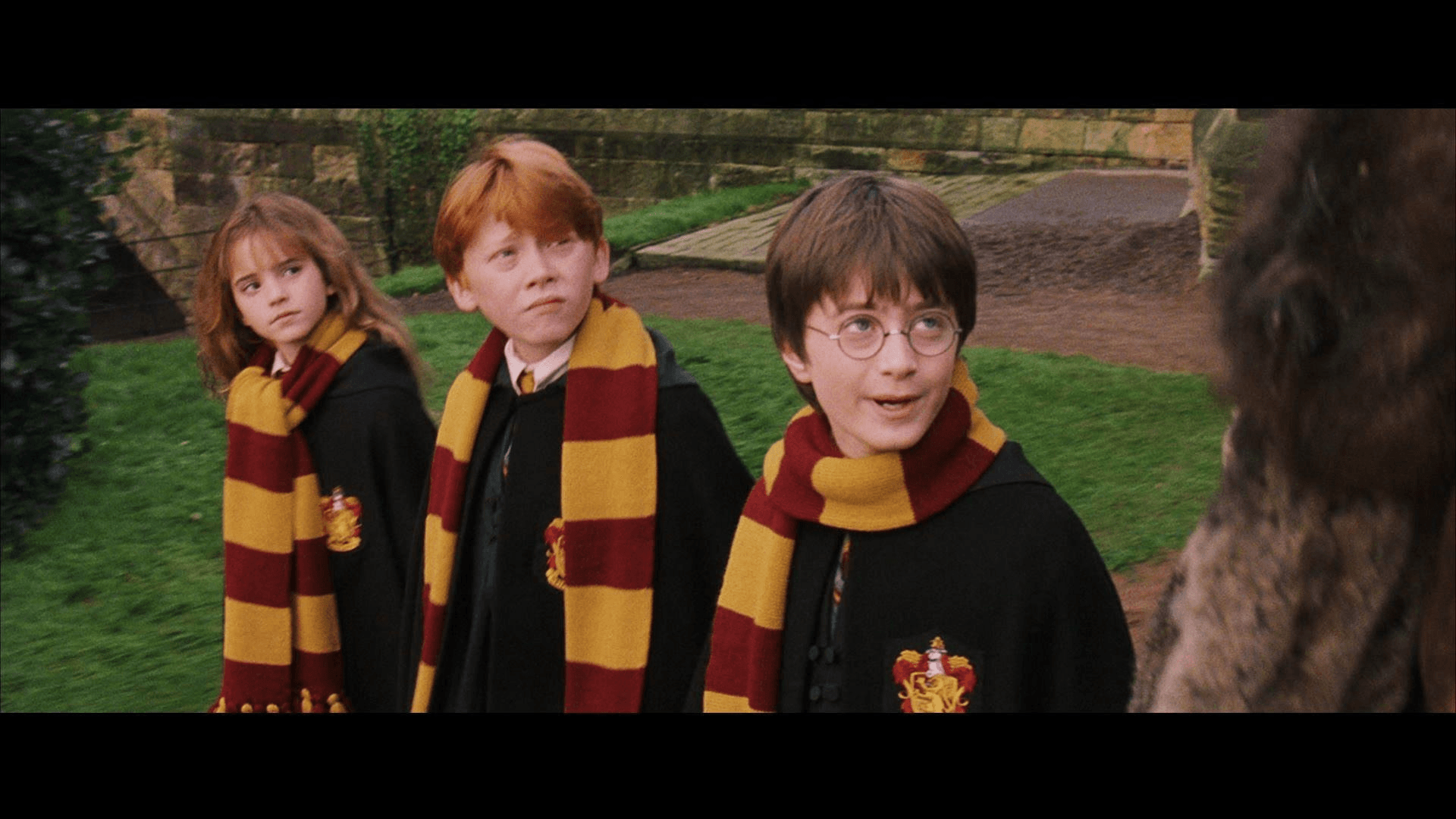 phong-ve-le-2-9-phim-viet-harry-potter-94642c558acc9756cc142d646036f16c.png