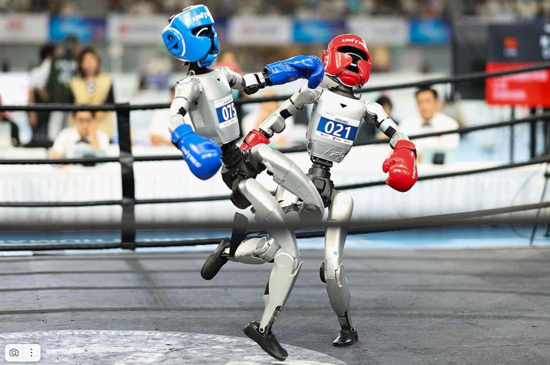 Robot hình người ăn mừng sau khi thấy đối thủ bất tỉnh trên sàn kickboxing 