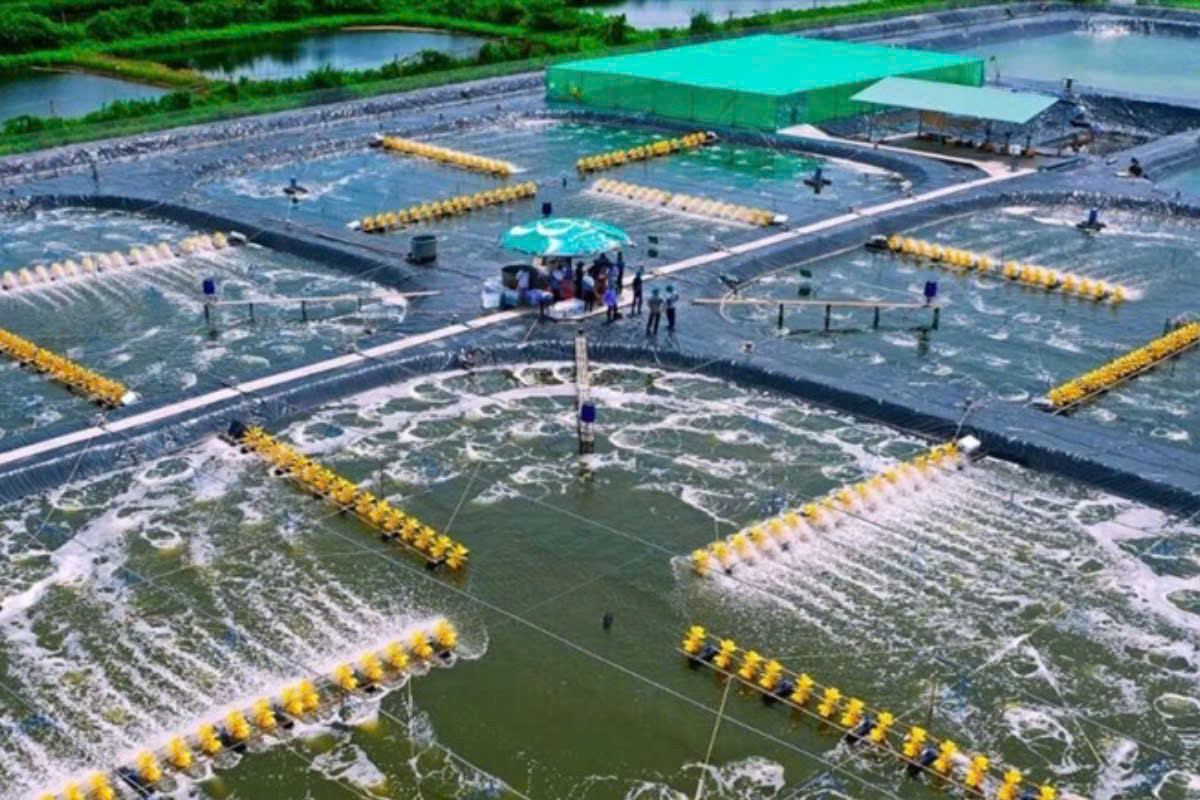 tômcông nghề 2