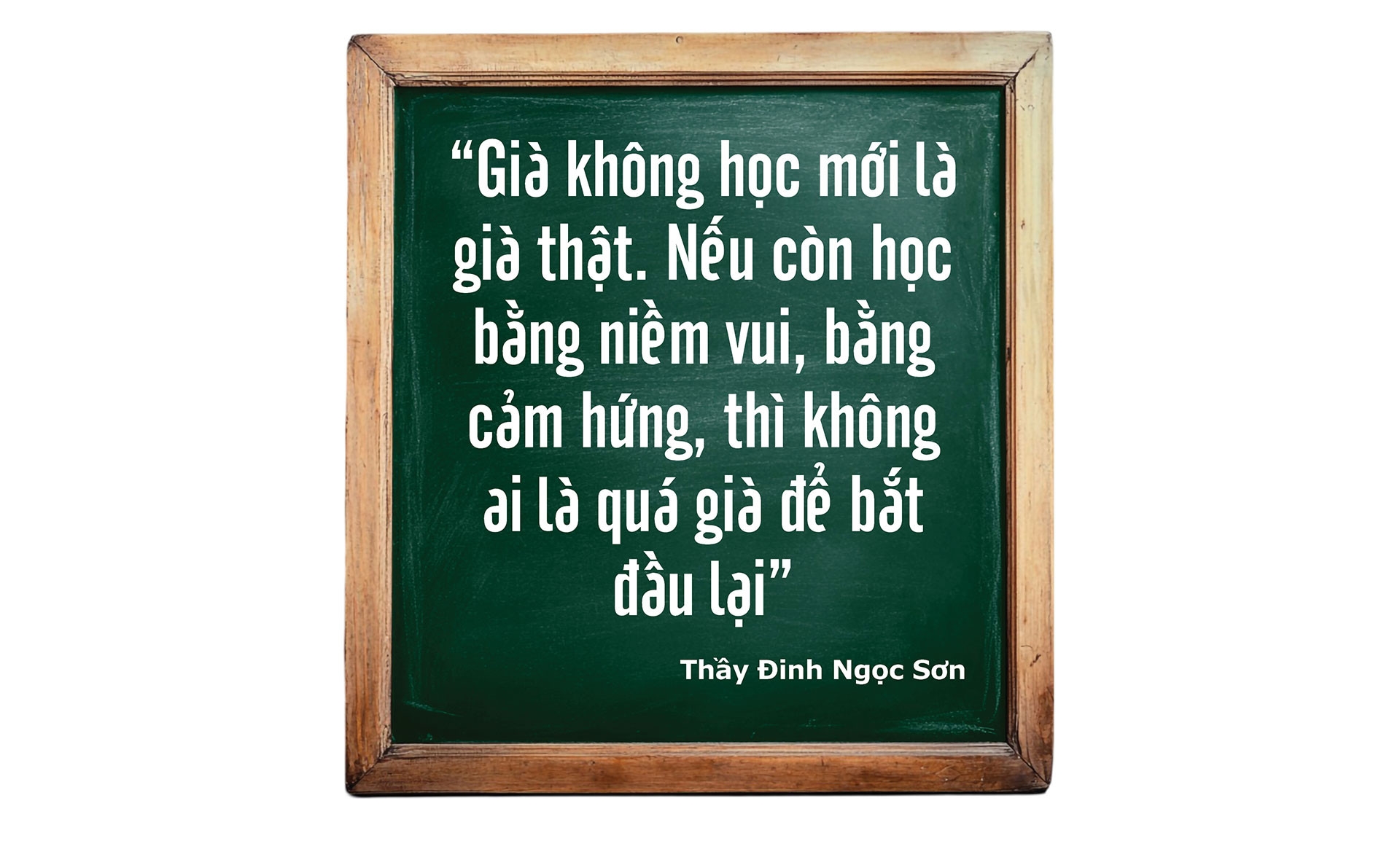 dinh-ngoc-son2_10.jpg