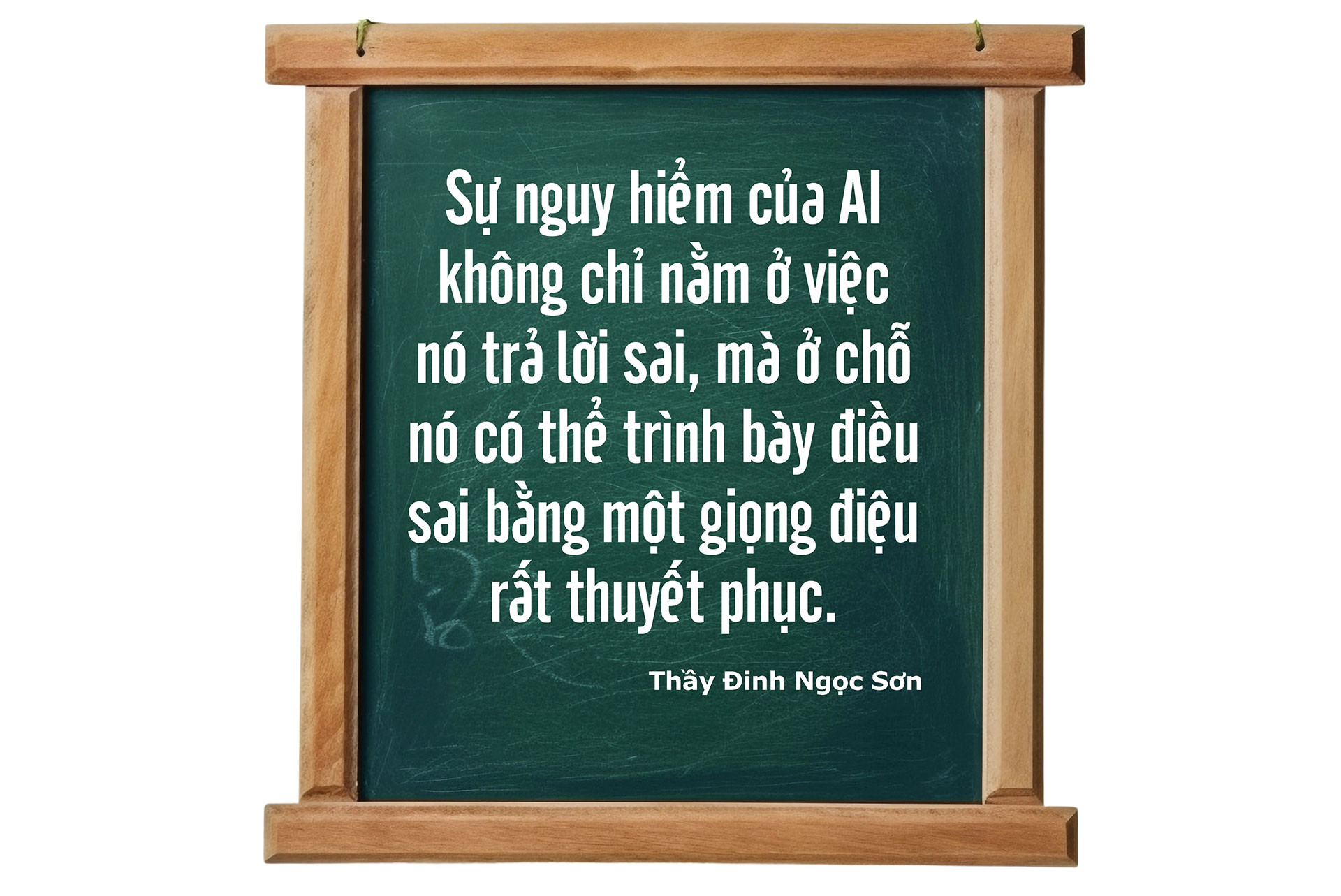 dinh-ngoc-son3_06.jpg