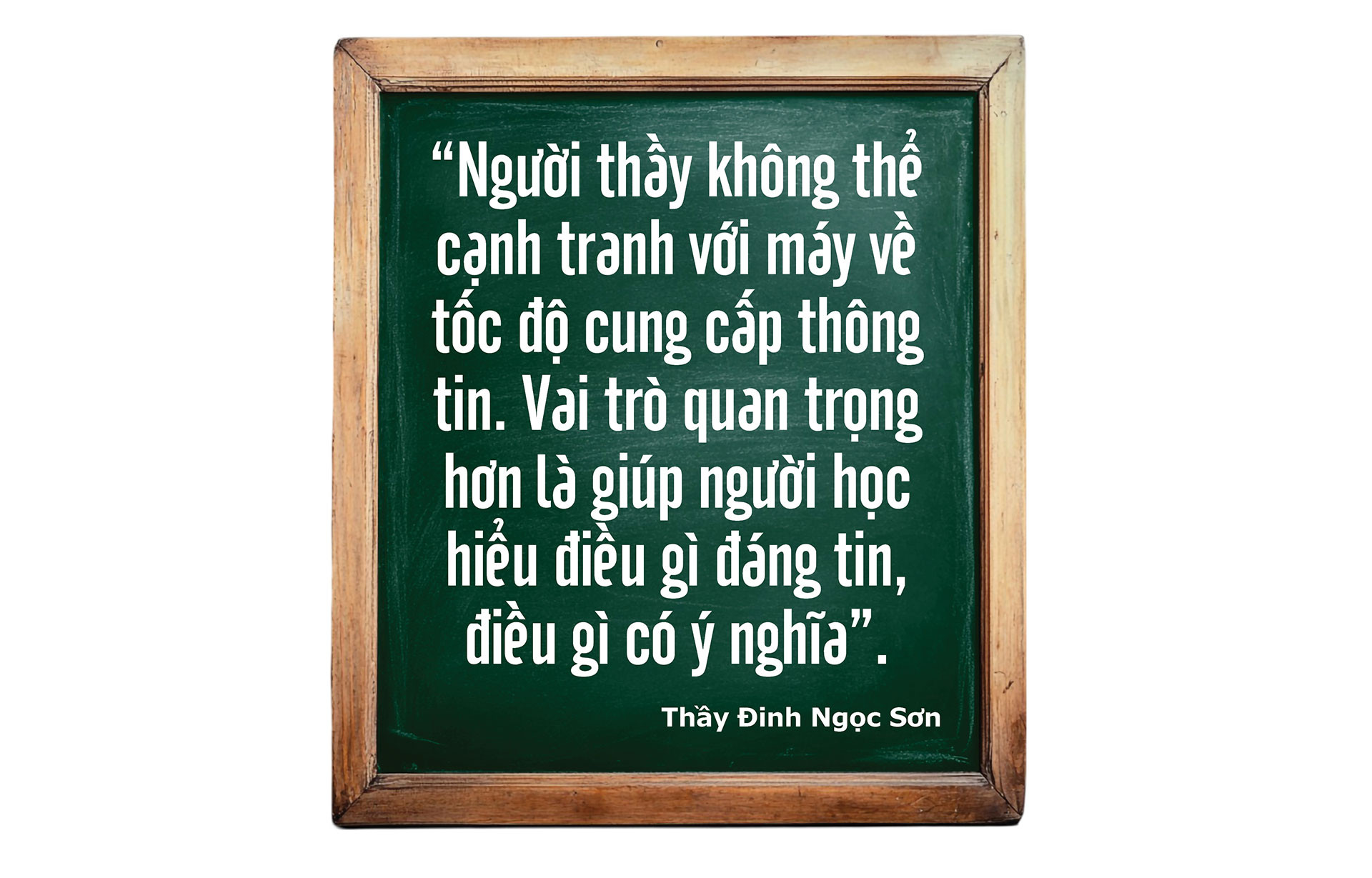 dinh-ngoc-son3_10.jpg