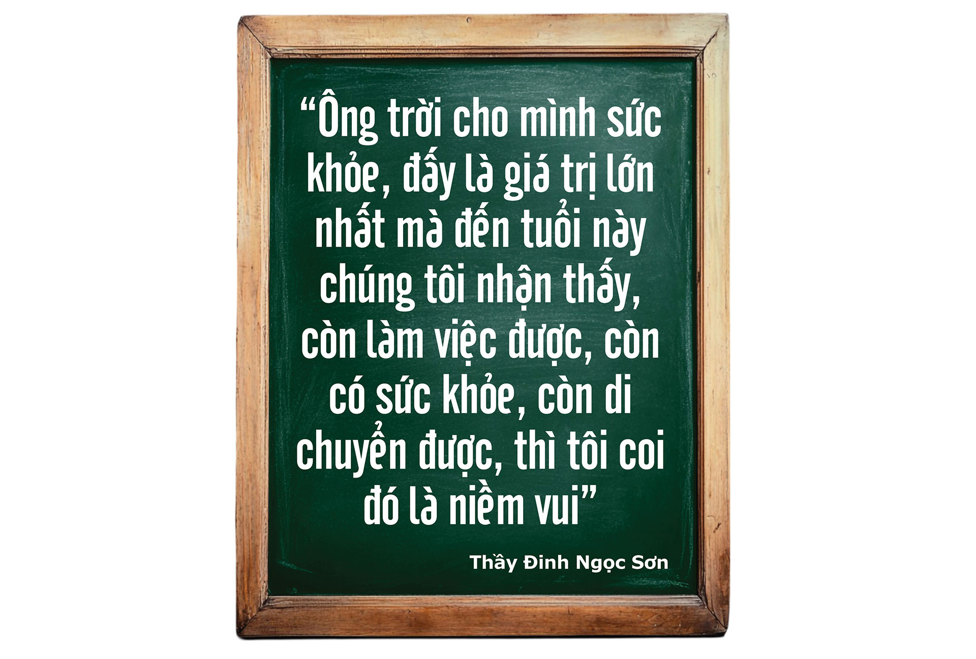 dinh-ngoc-son4_06.jpg