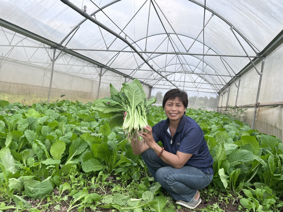 Đất không thể nở thêm, nông nghiệp phải thông minh hơn (Bài 1) 