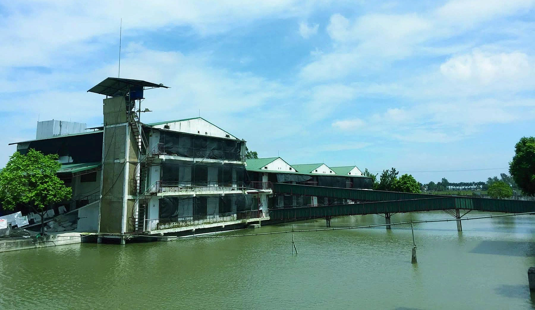 Khu chăn nuôi HTX Hoàng Long