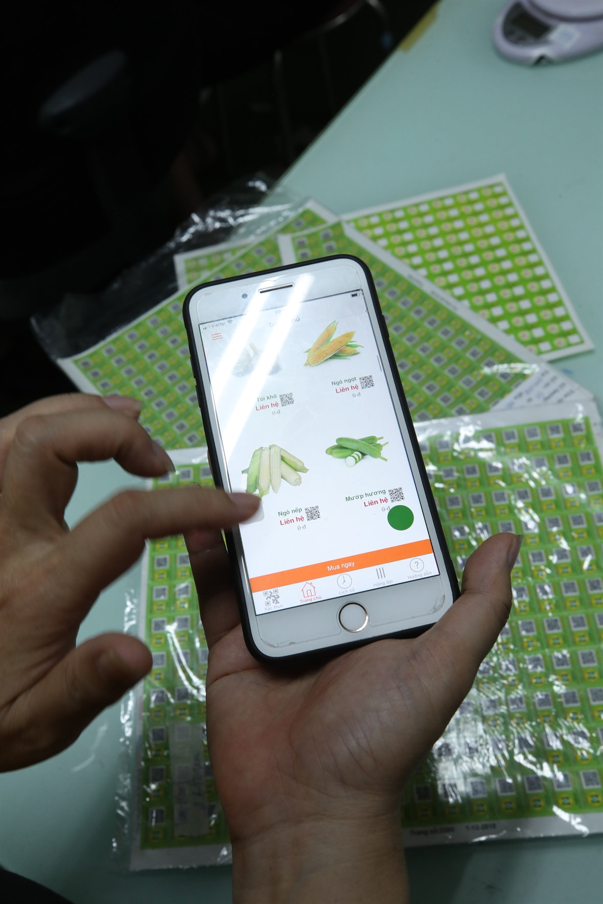 Truy xuất nguồn gốc