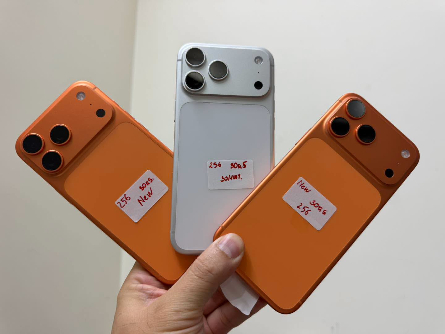 764845131_926212766479534_1074799145202993984_n.jpeg