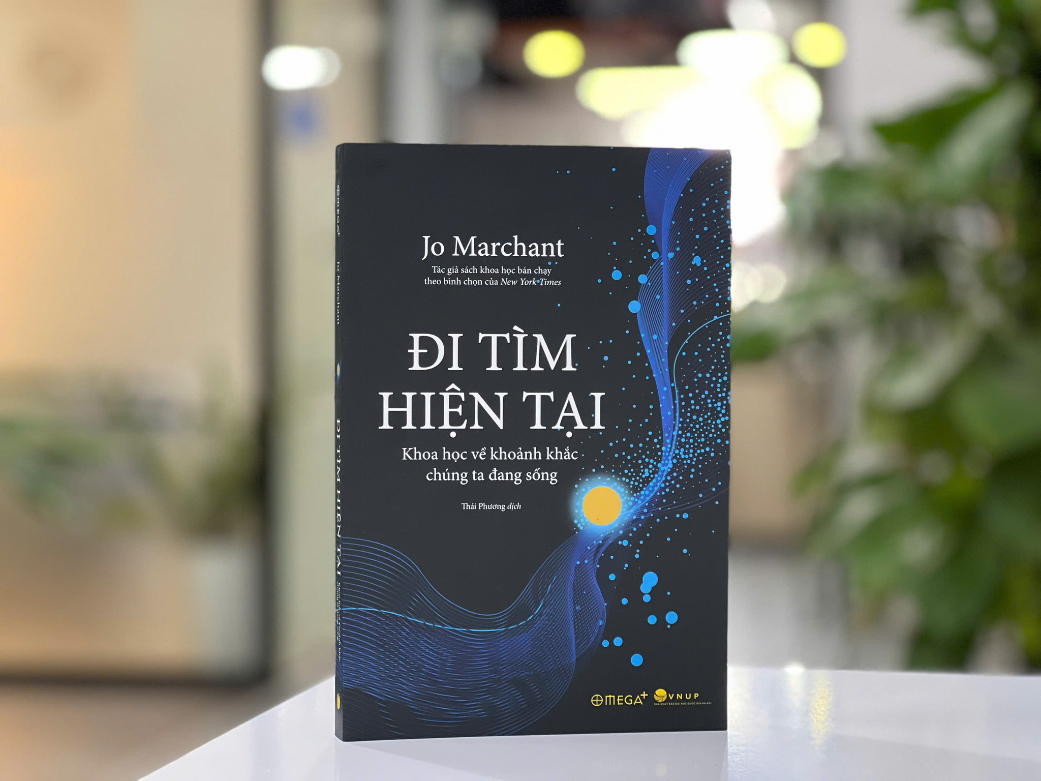 di-tim-hien-tai-31bacca692372490d4a05272ed3ad78c.jpg