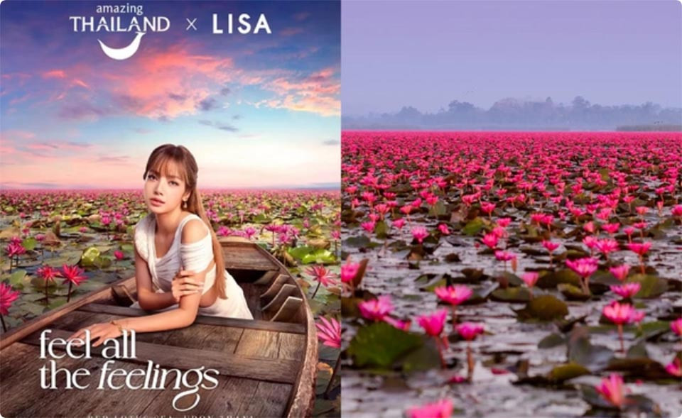 lisa4.jpg