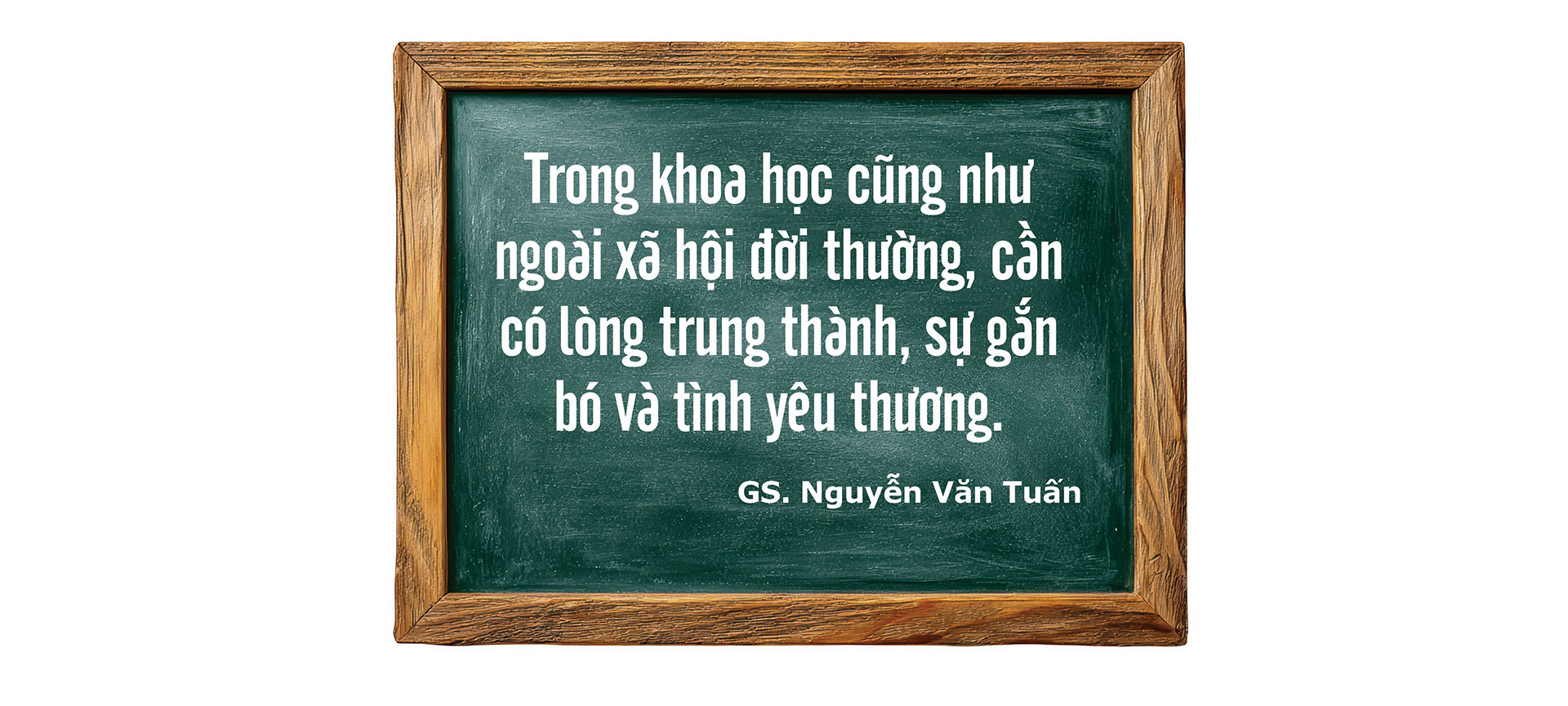 nguyen-van-tuan4_07.jpg