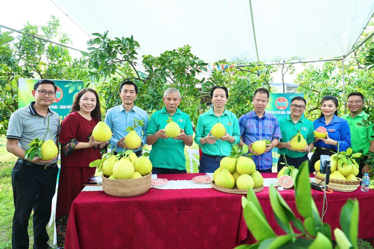 Anh xã Phú Nghĩa