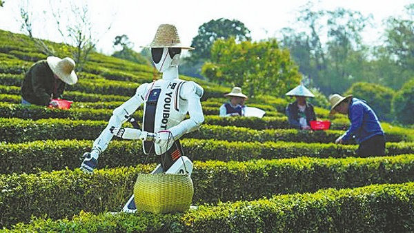 Robot hình người có thể là nông dân thế hệ mới hay chưa? 