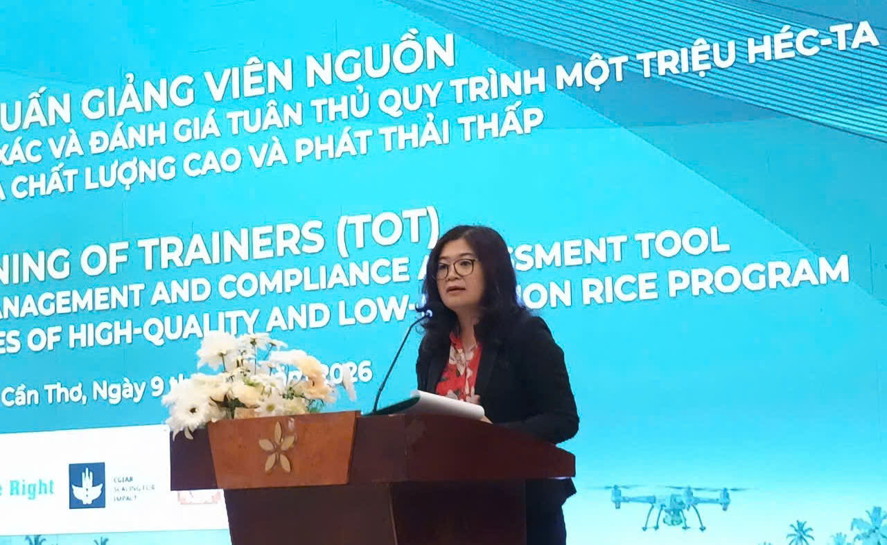 GAO VIET XANH 2