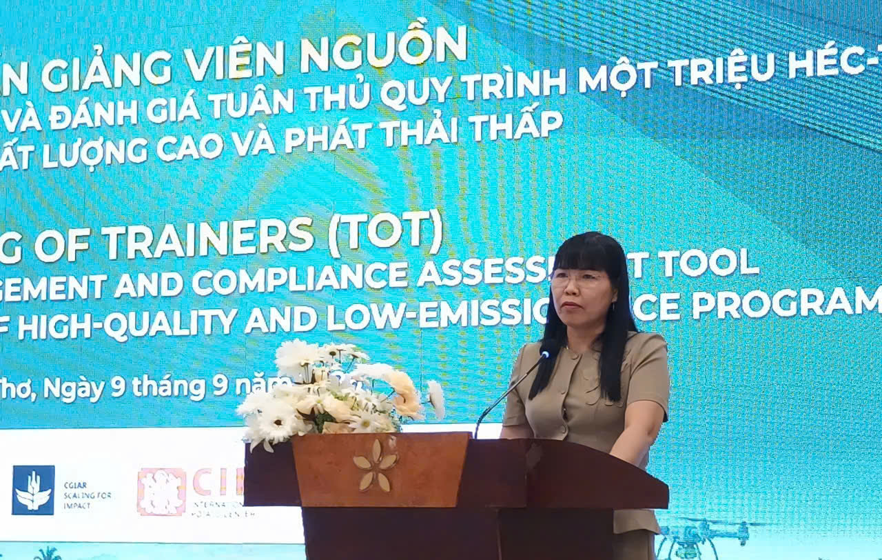 GAO VIET XANH 3