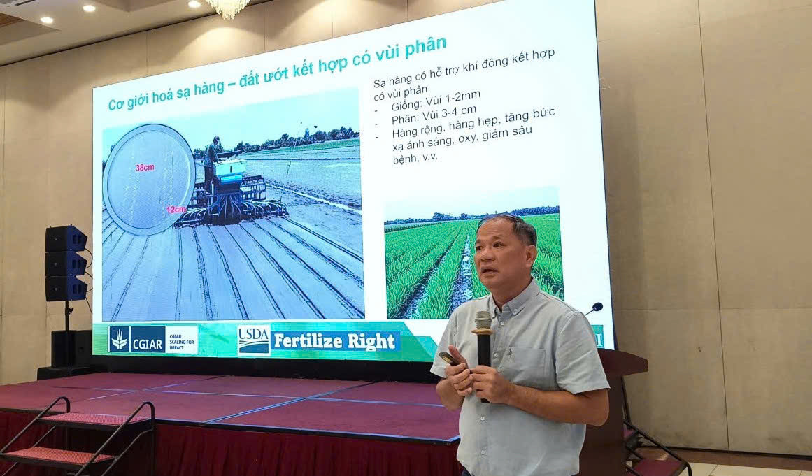 GAO VIET XANH 4