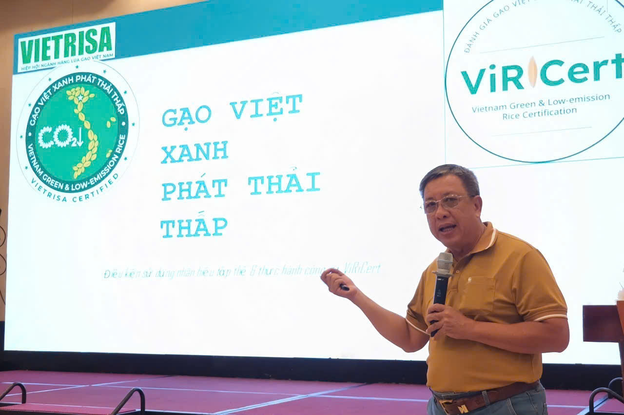 gao vietxanh 1