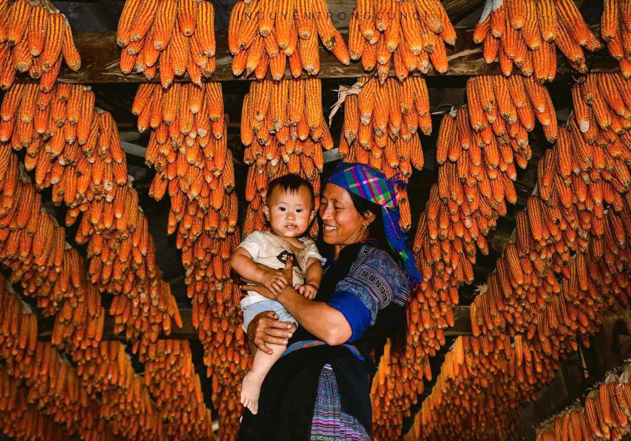 Phép màu cho đôi mắt sáng đến nâng tầm hạt ngô bản địa 