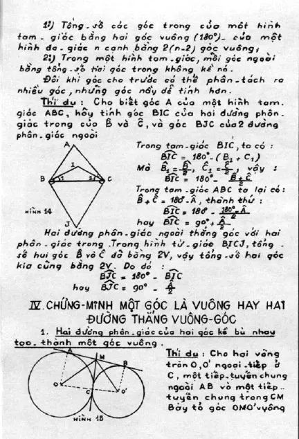 67079559_2358889090854434_6872021010166579200_n.jpg-432x634.jpg