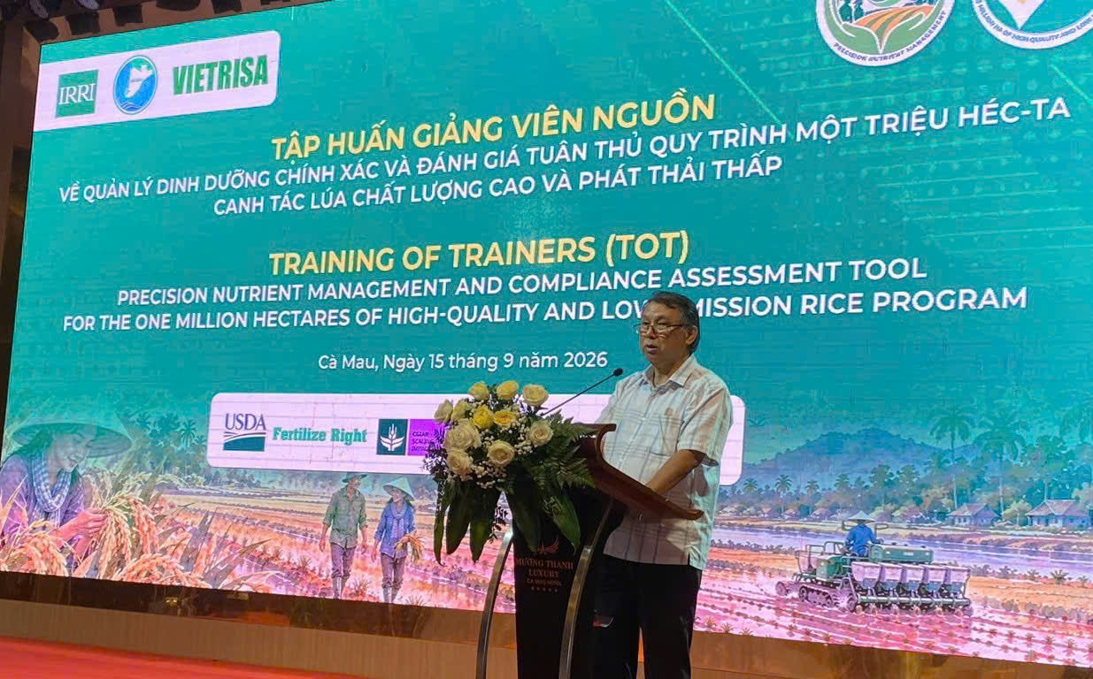 Cà Mau đưa công cụ số vào gần 55.000ha lúa phát thải thấp, chất lượng cao 