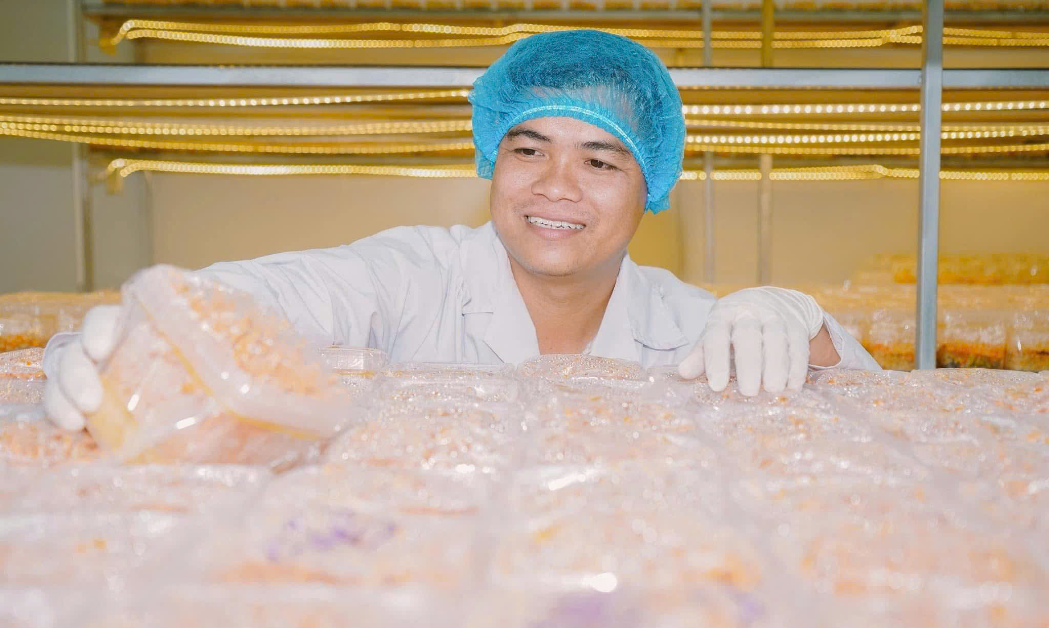 Từ bán nấm thô đến chuỗi sản phẩm OCOP: Cách thạc sĩ 9X đưa đông trùng hạ thảo ra thị trường