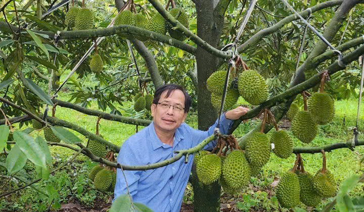 TS. Bùi Thanh Liêm: Người 'giữ lửa' khoa học giữa vườn cây miền Tây