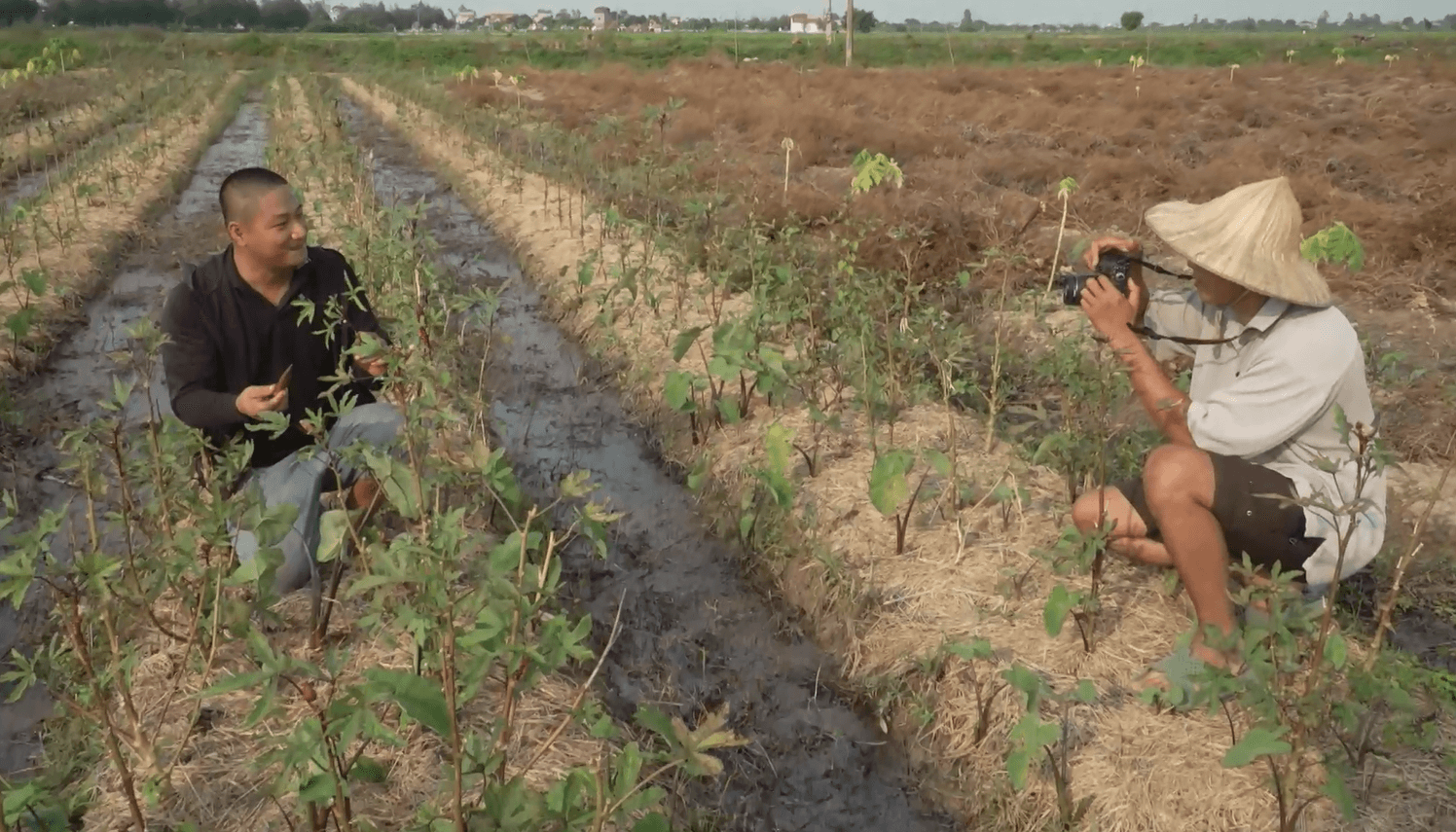 Video nông sản triệu view: Cú hích cho HTX hữu cơ ở Hưng Yên