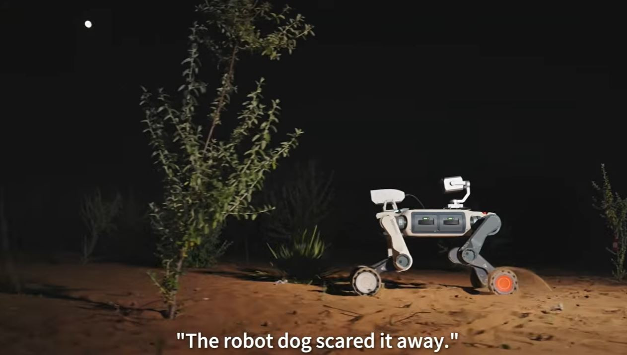 Phát triển robot chó cảnh giới vùng sa mạc 