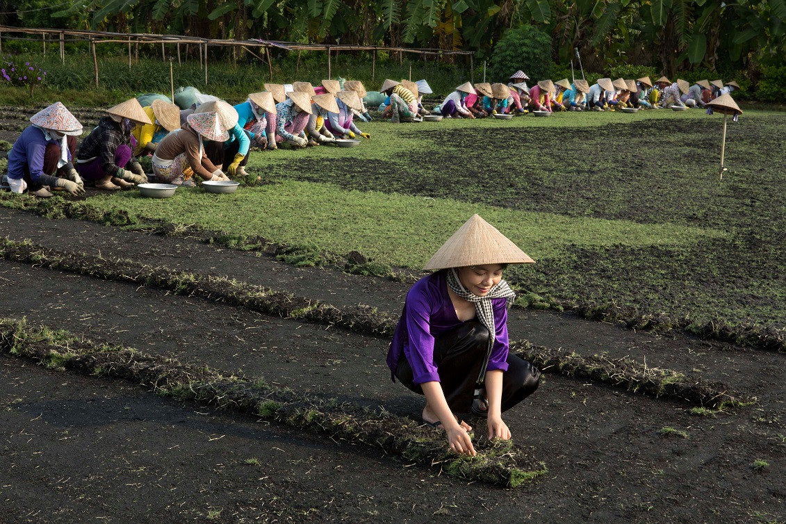 Biến đổi khí hậu