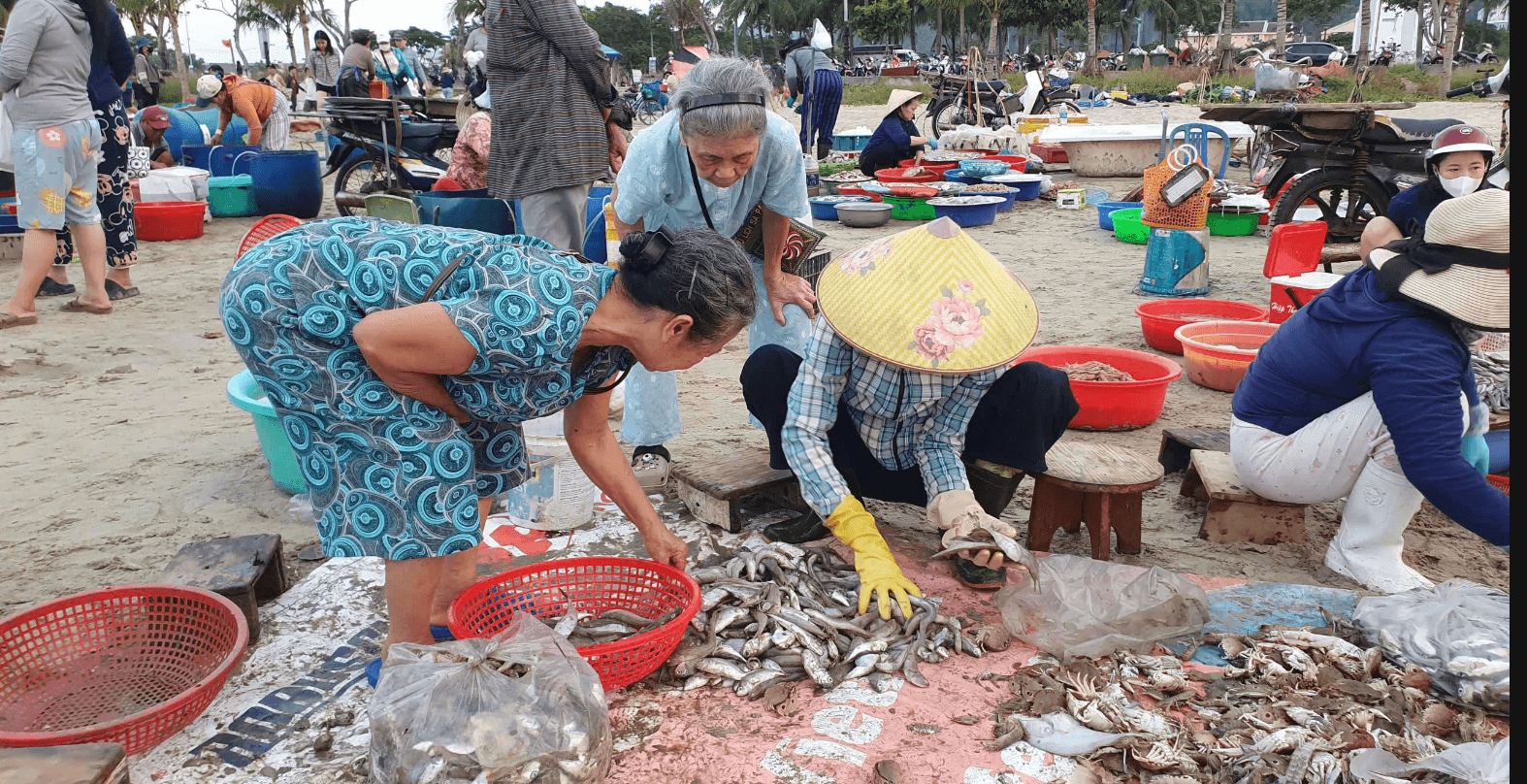Ảnh màn hình 2026-09-22 lúc 11.36.30