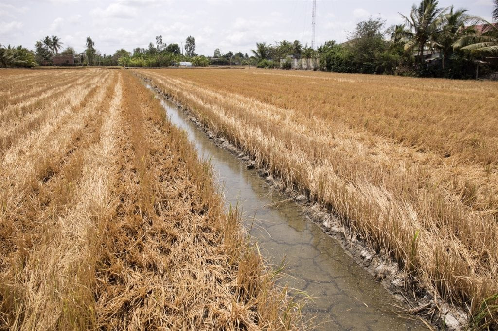Siêu El Nino trở lại: Bão giảm nhưng bất thường, xâm nhập mặn báo động đỏ 