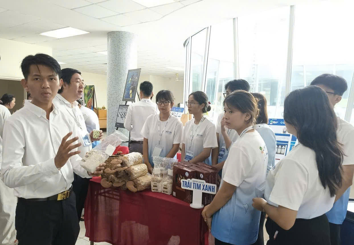 Sinh viên Đồng Tháp đưa AI vào nuôi trồng nấm linh chi 
