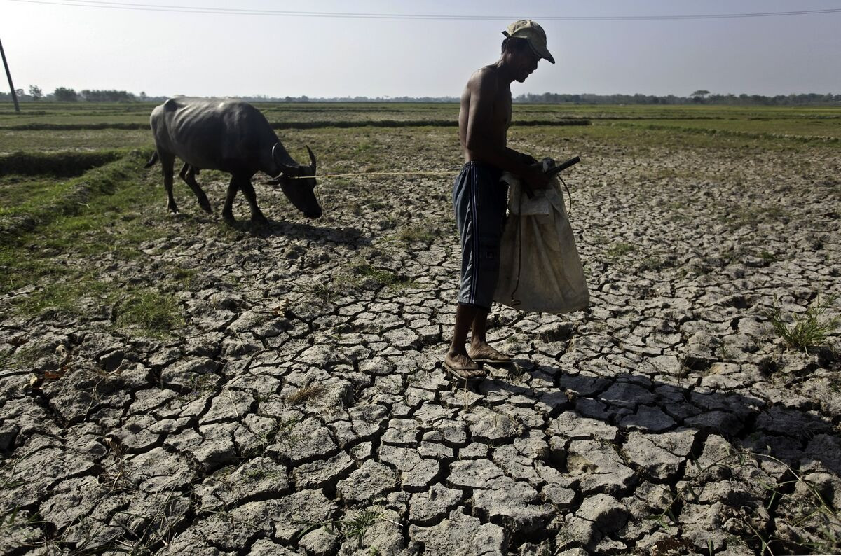 El Nino ảnh hưởng đến mục tiêu kinh tế Việt Nam và châu Á thế nào? 