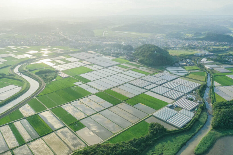 agrist-automatic-bell-pepper-harvesting-robot-japan-labor-shortage-designboom-c-818x546.jpg