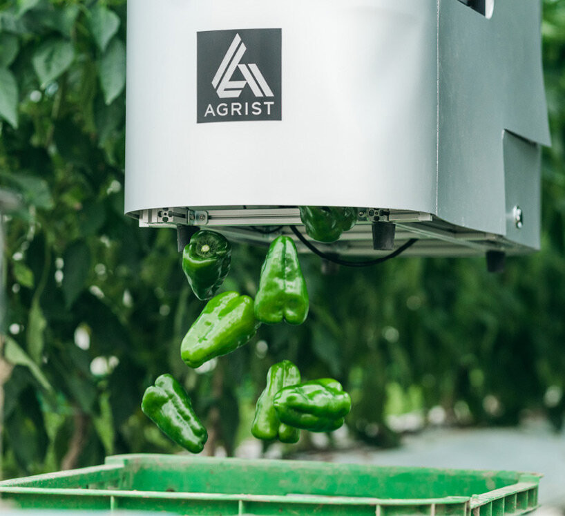 agrist-automatic-bell-pepper-harvesting-robot-japan-labor-shortage-designboom-large-designboom-03.jpg