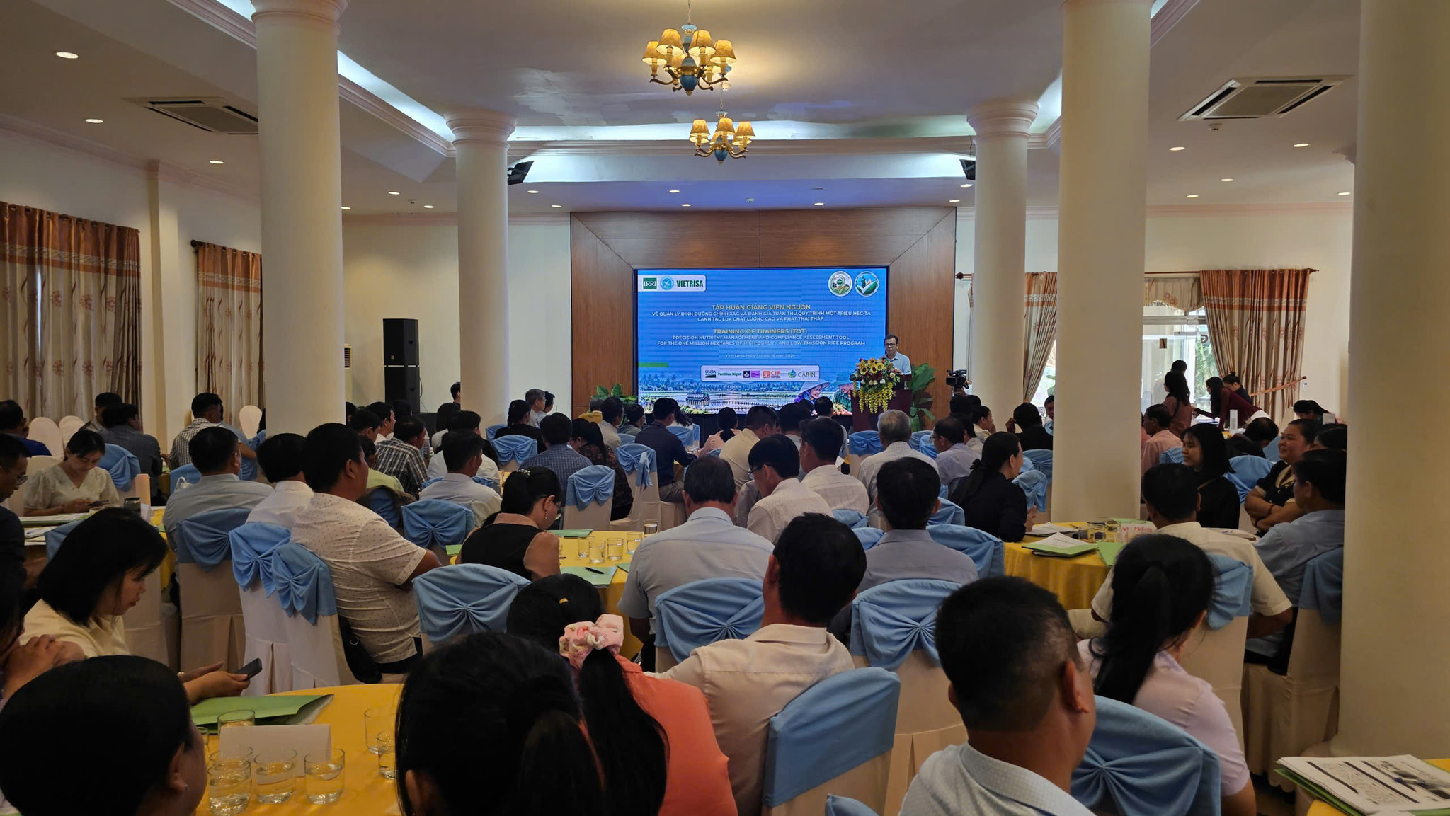 chạm 86% mục tiêu Đề án 1 triệu ha lúa chất lượng cao