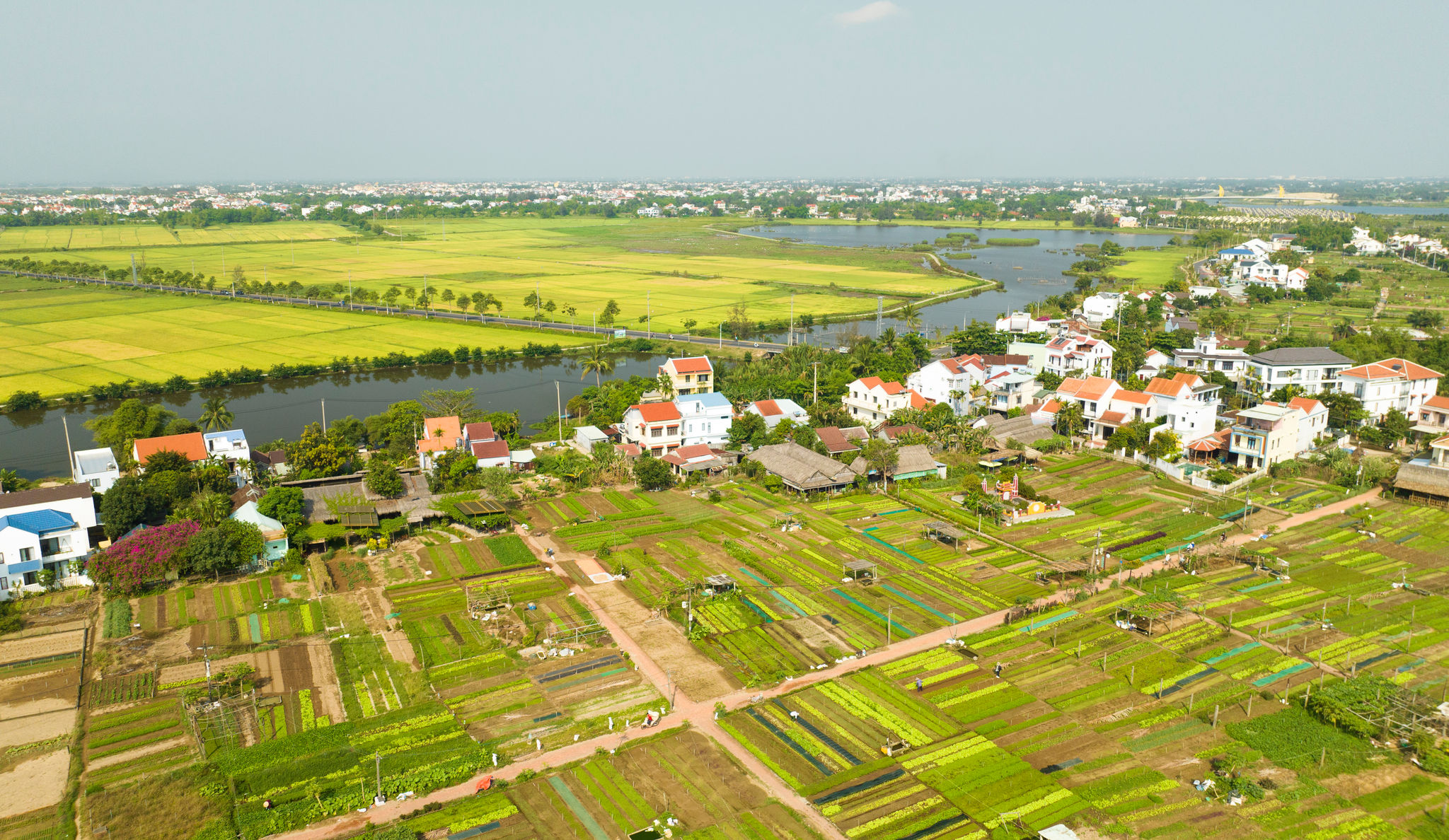 dji_0016.jpg