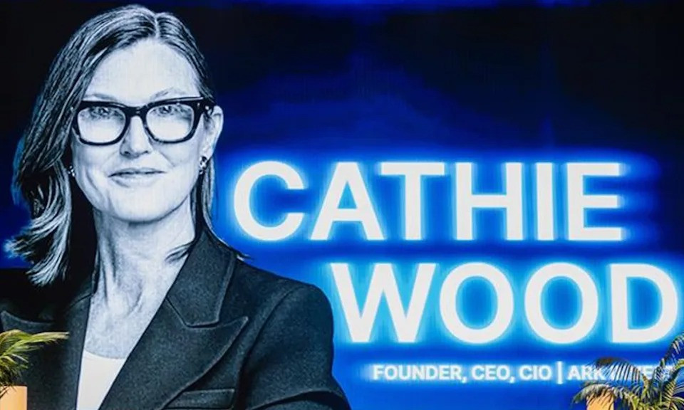 CEO ARK Invest