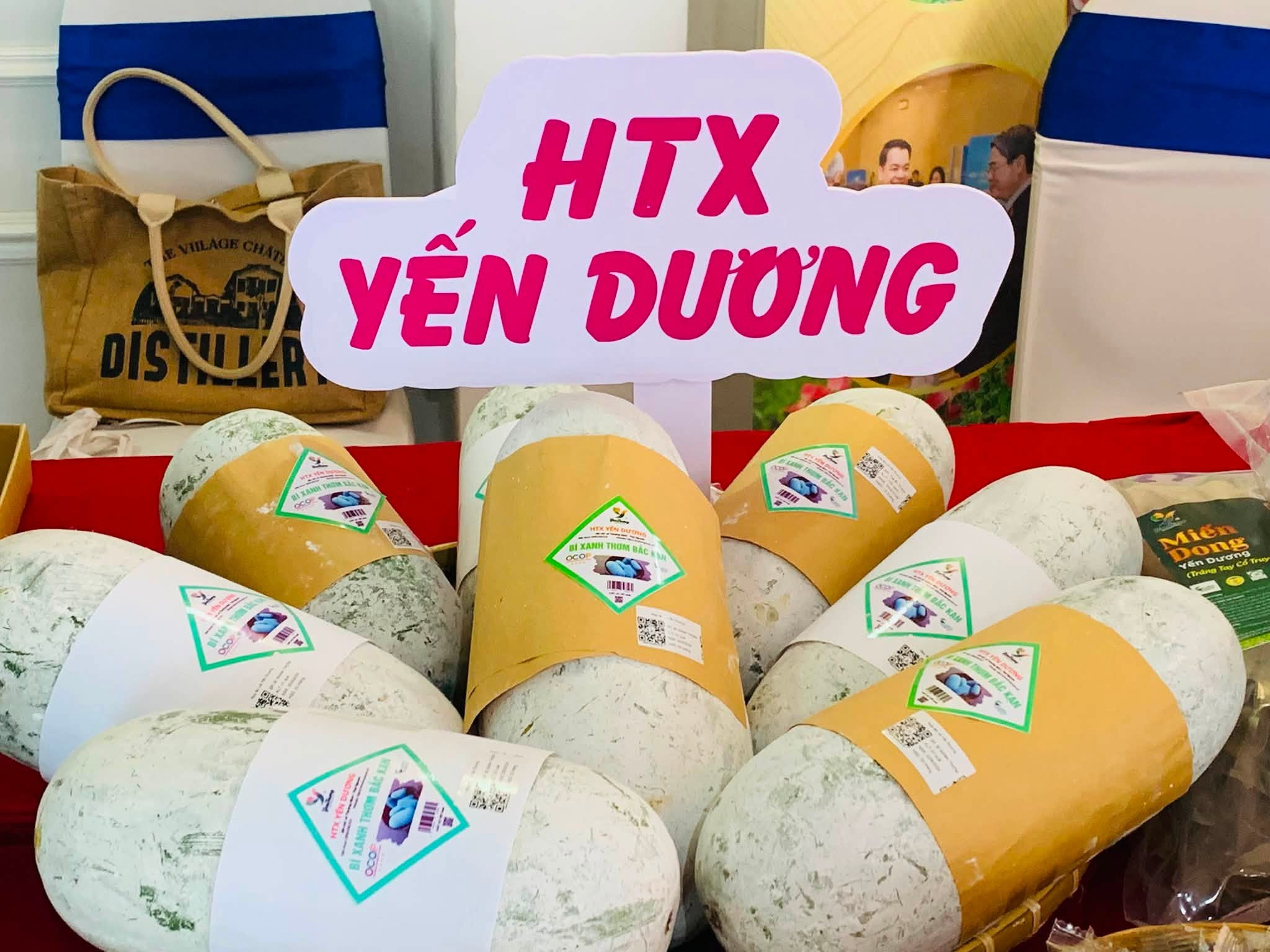 HTX Yến Dương (2)