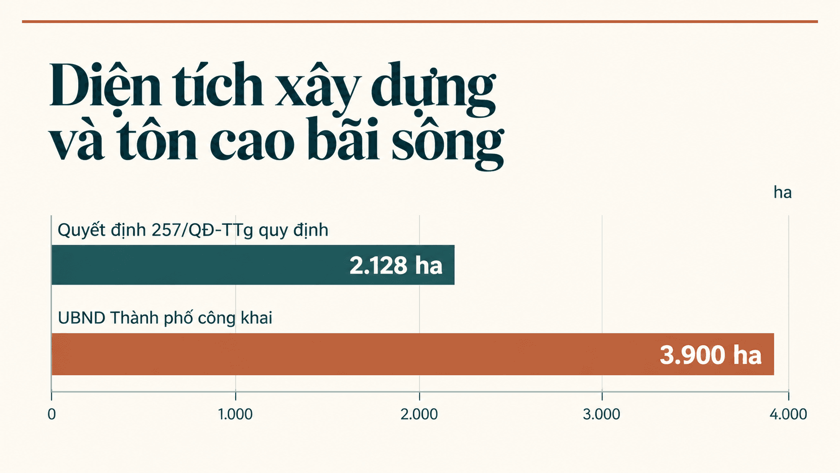 Ảnh 11