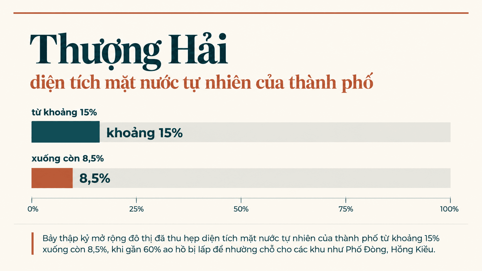 Ảnh 8
