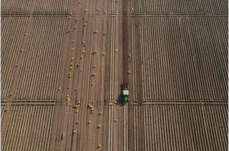 from-automated-farm-tr-1.jpg