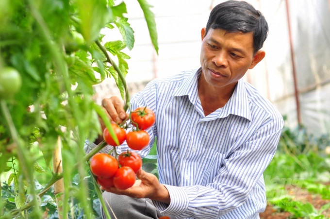 Chỉ 1,2% nông hộ có đủ dữ liệu truy xuất nguồn gốc: Hợp tác xã đang 'mắc kẹt' ở đâu trong chuyển đổi số? 