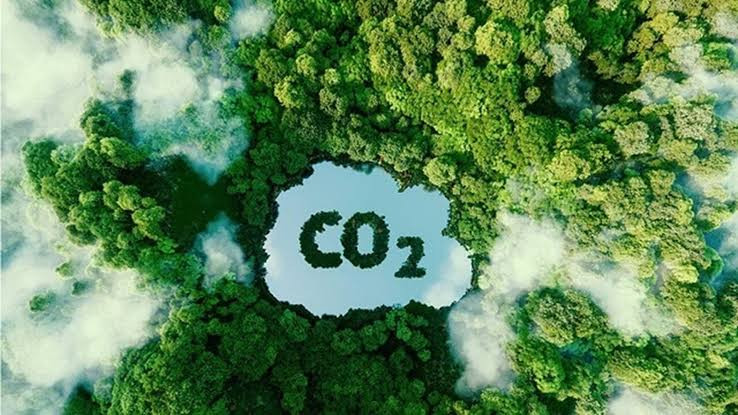 Sàn carbon Việt Nam: Có sàn, có hàng nhưng chưa có thanh khoản? 