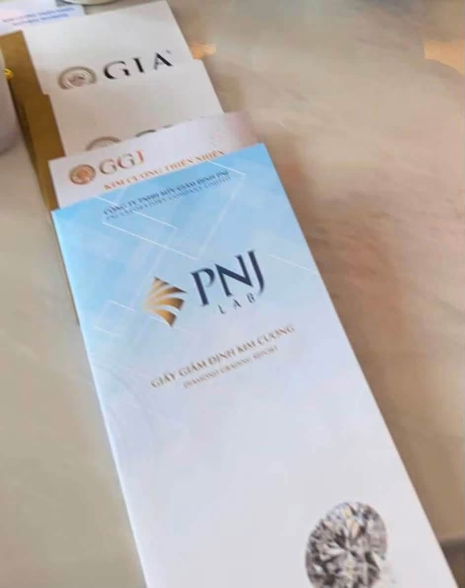 Tổng Giám đốc Phan Quốc Công 2