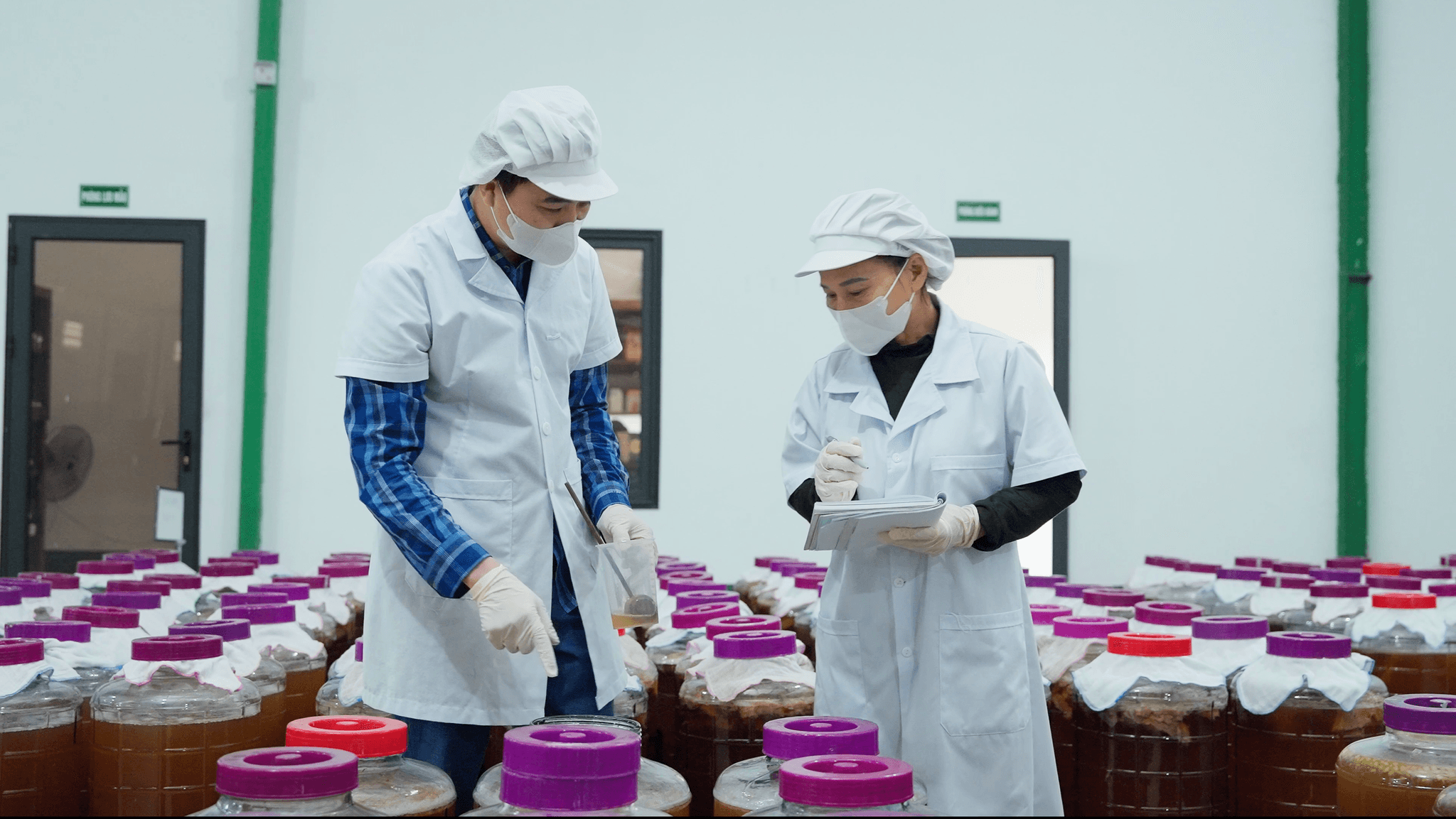 Thương mại hóa công nghệ sinh học: Từ trà Kombucha đến bài toán đưa nghiên cứu ra thị trường