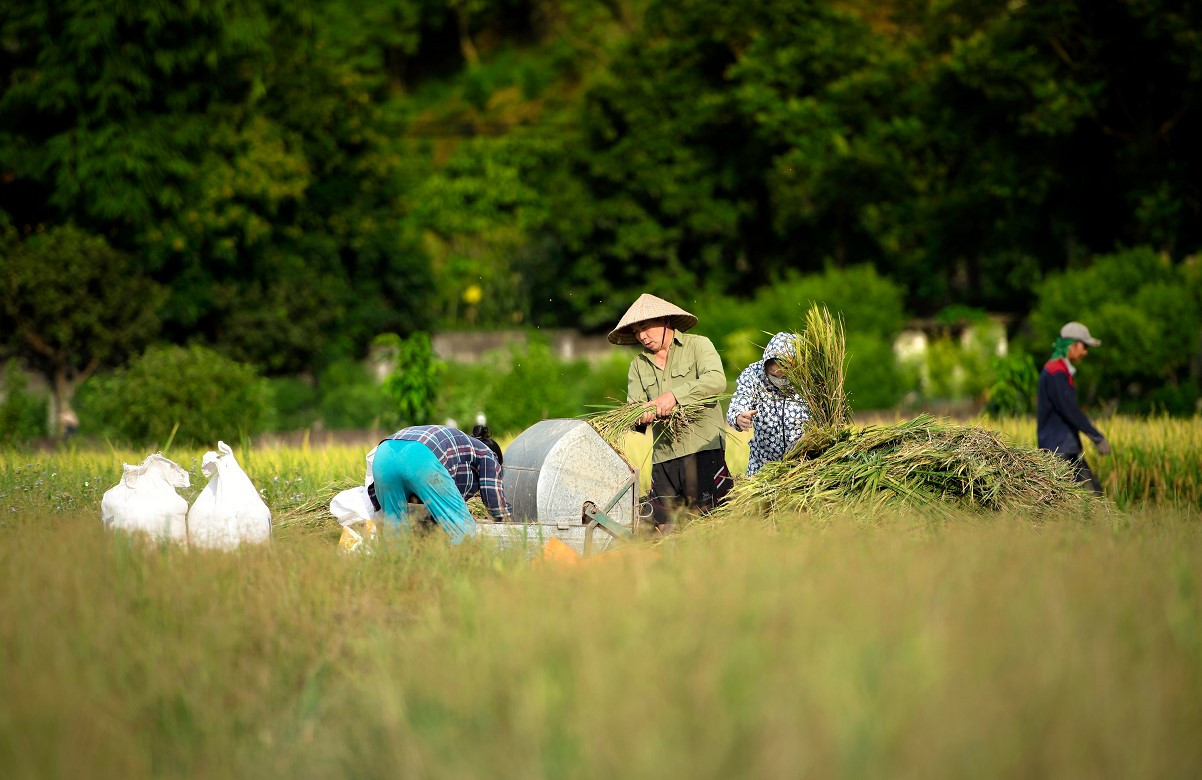 Các công nghệ giúp bảo đảm an ninh lương thực 