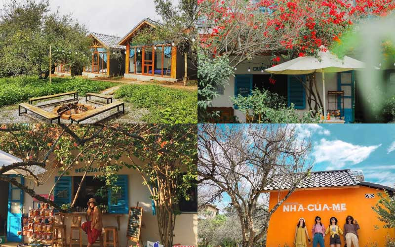 Có cảnh đẹp, homestay chưa chắc có khách: Du lịch nông thôn ‘lên đời’ nhờ công nghệ 