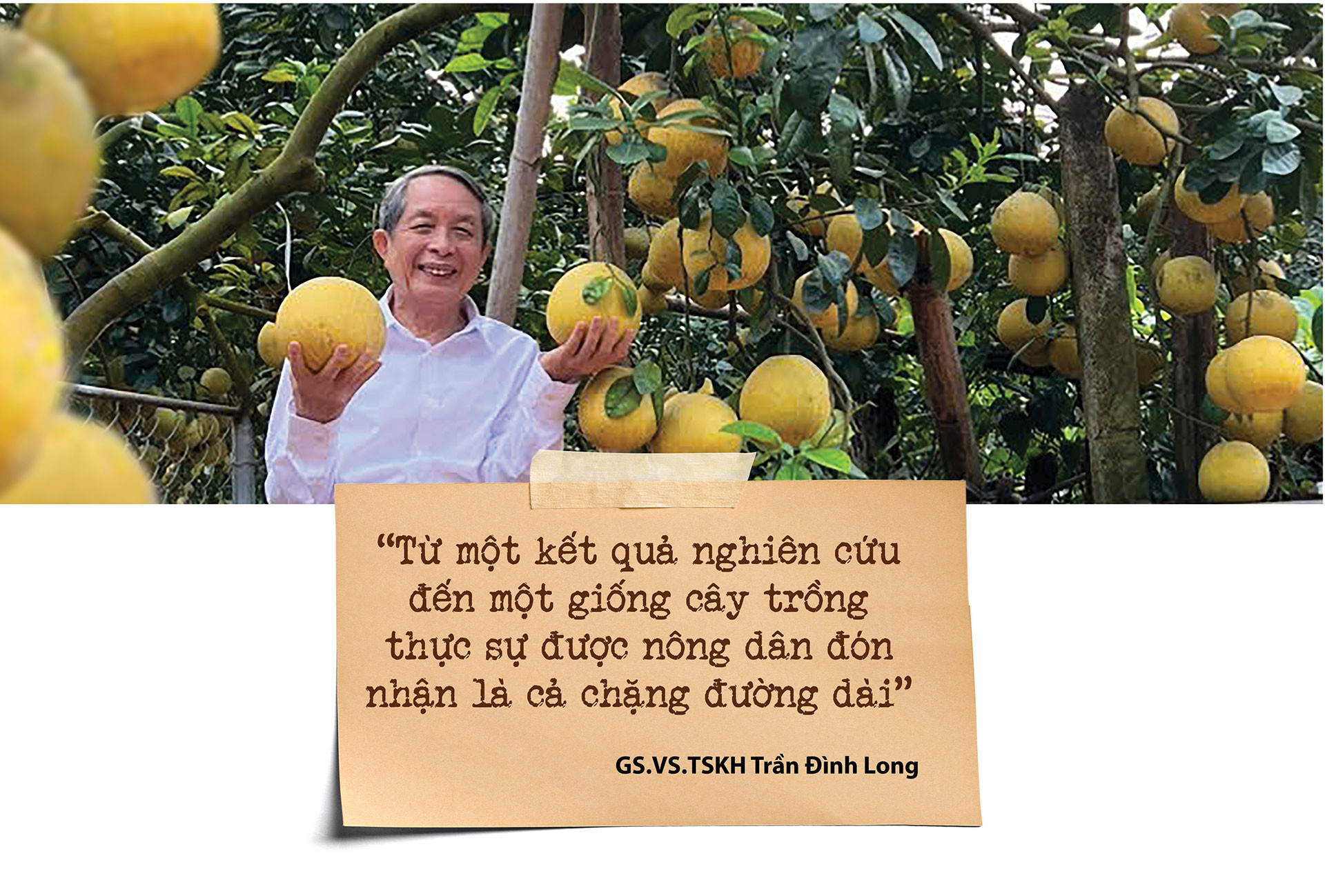 tran-dinh-long-10-2026-ky-13_02.jpg